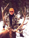 2002-elk-01c.jpg (60511 bytes)