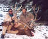 2002-elk-03c.jpg (51657 bytes)